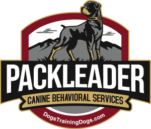 Canine Behavioral Services Inc.