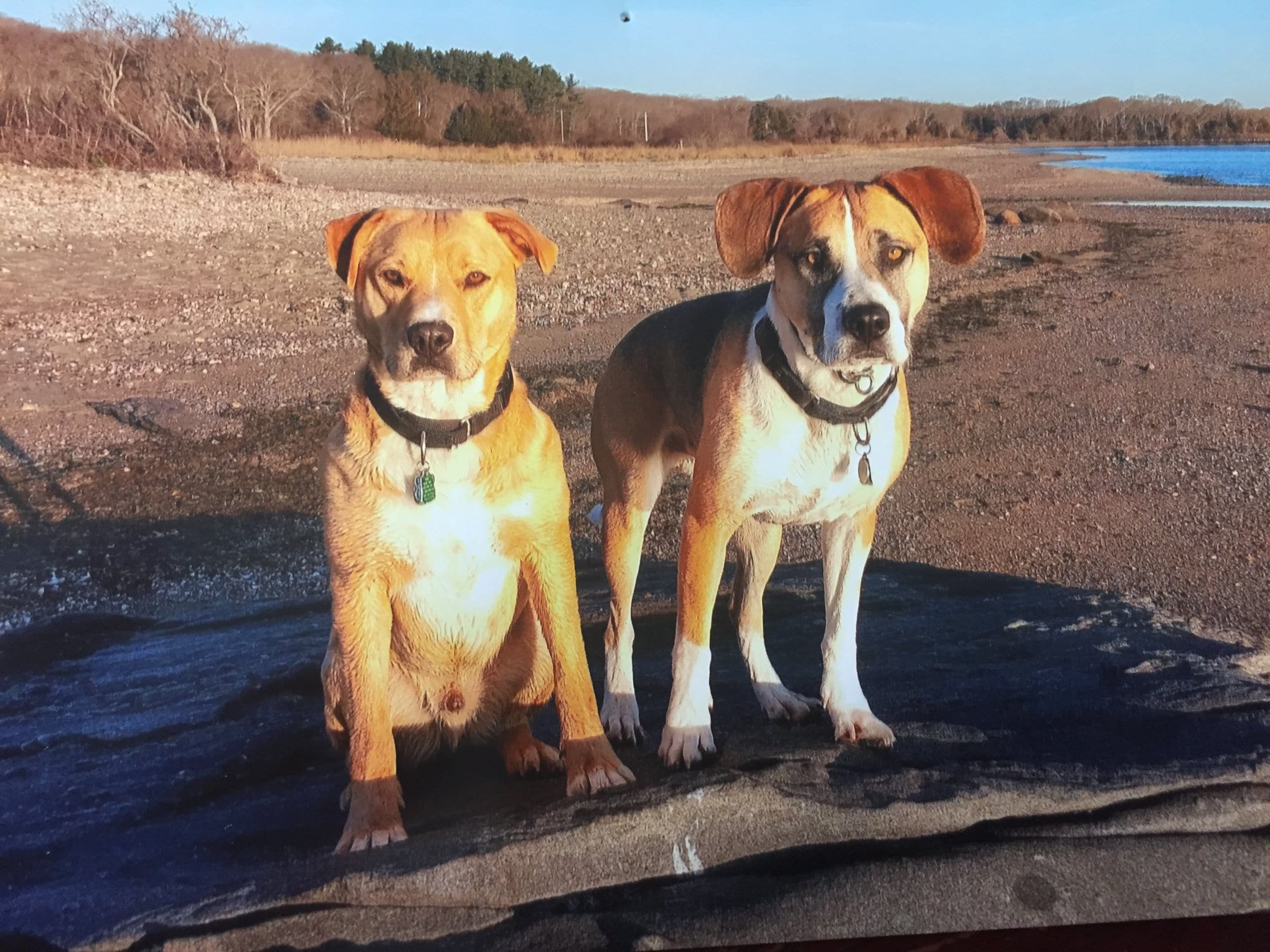 Mason &Amp; Charlie Bring The Fun! 3 Charlie mason miller
